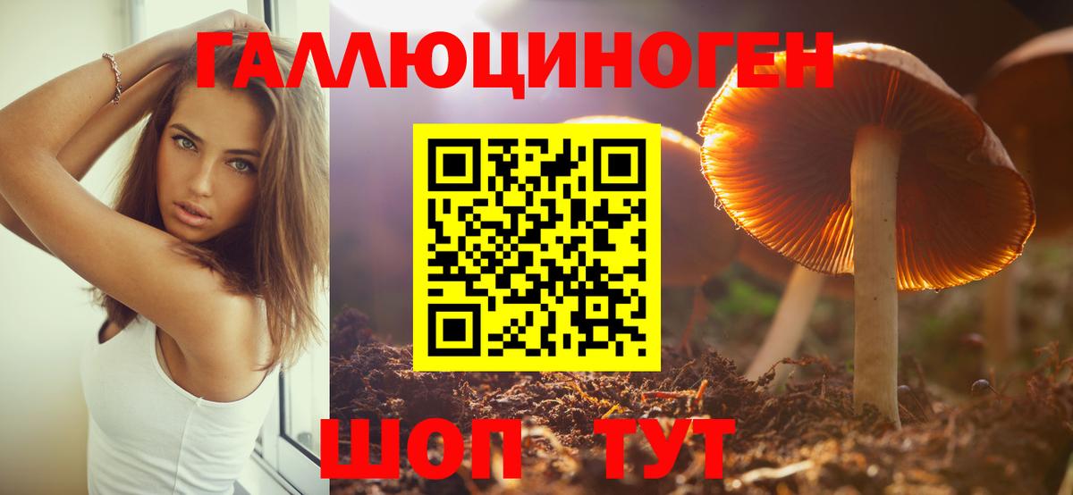 Псилоцибиновые грибы Psilocybe  Галлюциногенные грибы Psilocybe  Тюмень  Вход с VPN 